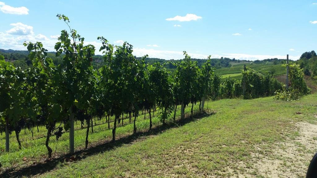 Cascina Rollone Villa Rocchetta Tanaro Bagian luar foto